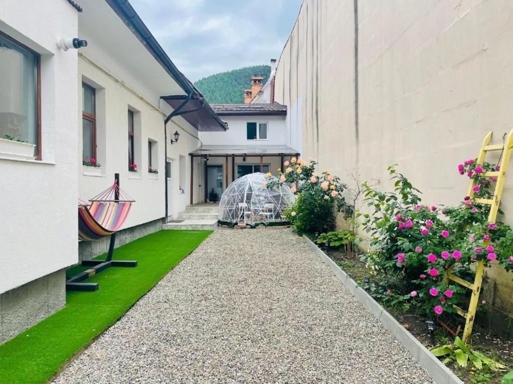 Apartmán Schei Brasov-Скей Брашов Exteriér fotografie